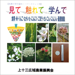 DVD-ROM